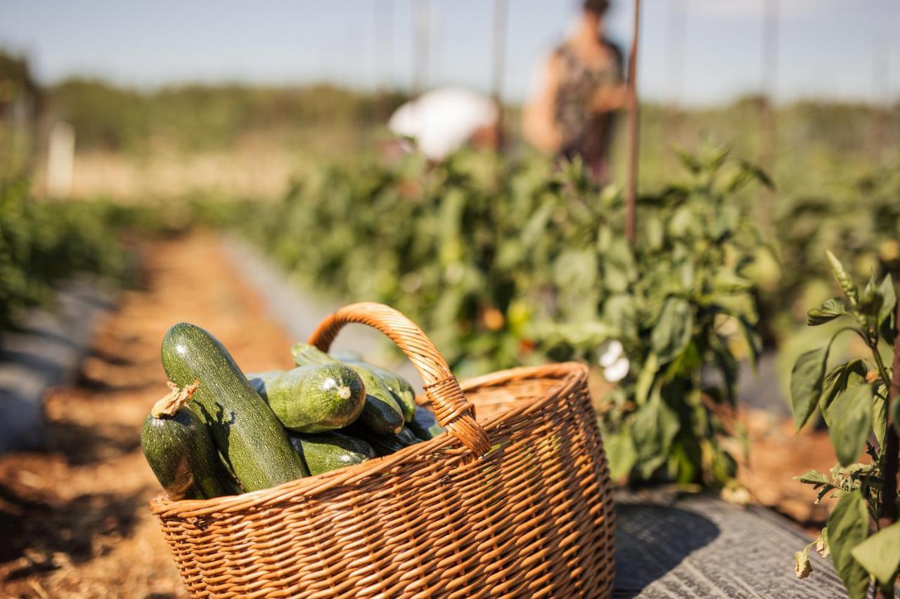 Bed&Breakfast Agroturizam Antunovic Kuna Pelješka Εξωτερικό φωτογραφία